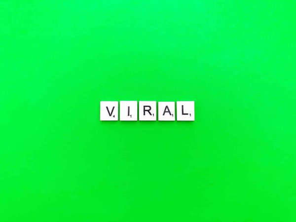 comment créer une stratégie de marketing viral